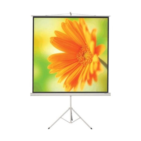 Location Accessoires Ecran de Projection 2m x 2m