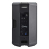Location Enceinte CARBON 15 - AUDIOPHONY