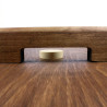 Location planche a rebond artisanale en bois 30€/jour pour animations dynamiques